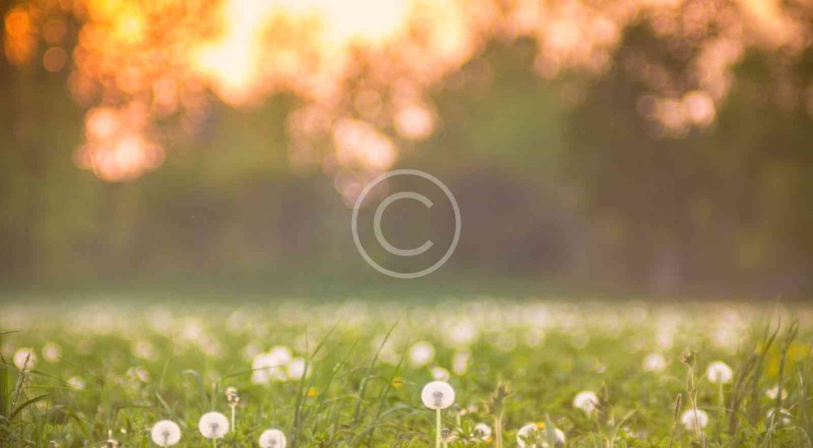 bg_image_2.jpg